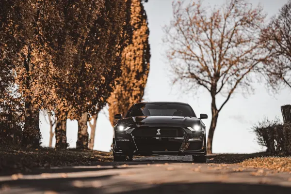 SuperNopea Kasino Android/iOS Sovellus